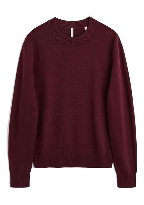 maglione moon merino uomo borgogna SUNFLOWER | 3039650