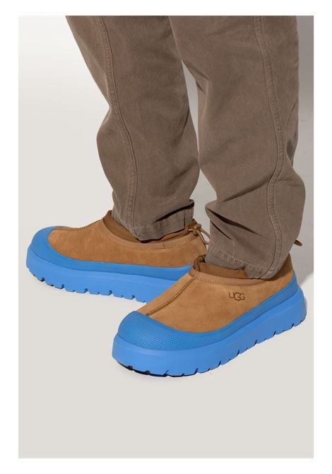 sneakers tasman weather hybrid uomo castagna e azzurro UGG | 1144096CBG