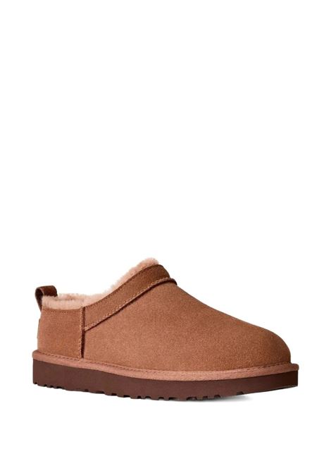 mules classic micro donna quercia UGG | 1173891RYK