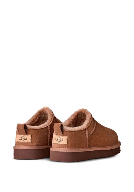 mules classic micro donna quercia UGG | 1173891RYK