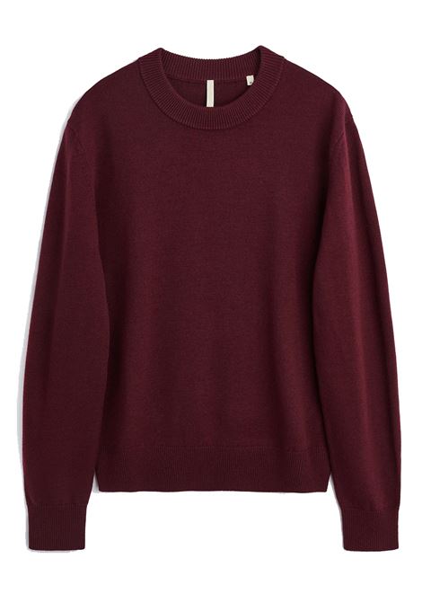 maglione moon merino uomo borgogna SUNFLOWER | 3039650