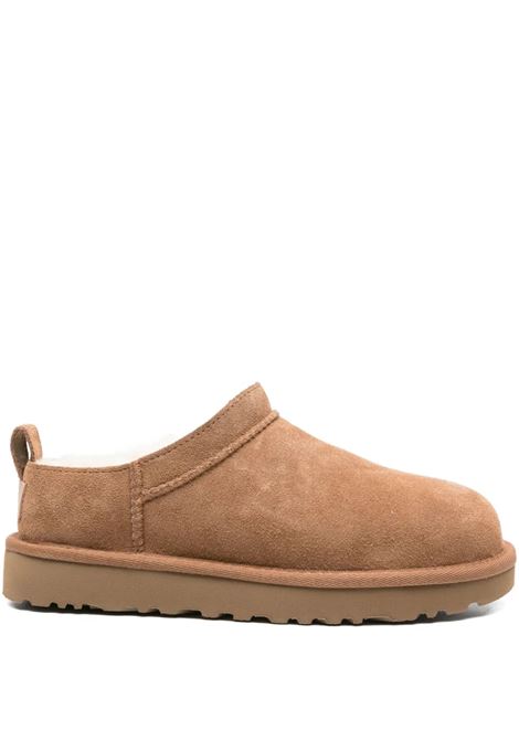 mules classic micro donna castagna UGG | 1173891CHE
