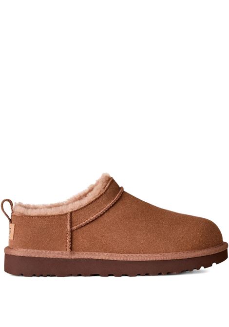 mules classic micro donna quercia UGG | 1173891RYK