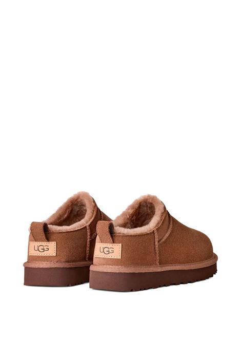 mules classic micro donna quercia UGG | 1173891RYK