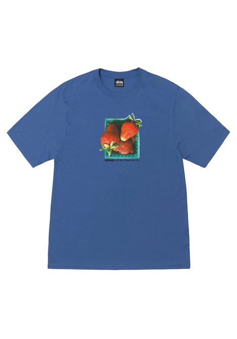 t-shirt berries uomo blu STÜSSY | 19051080801